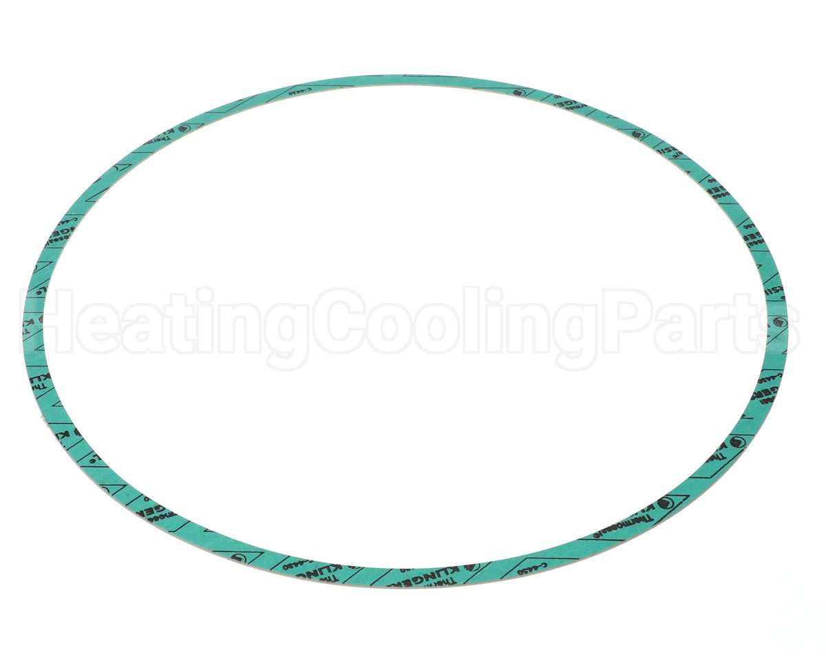 8426401-005 Armstrong Fluid Technology 13" Nitrile Gasket