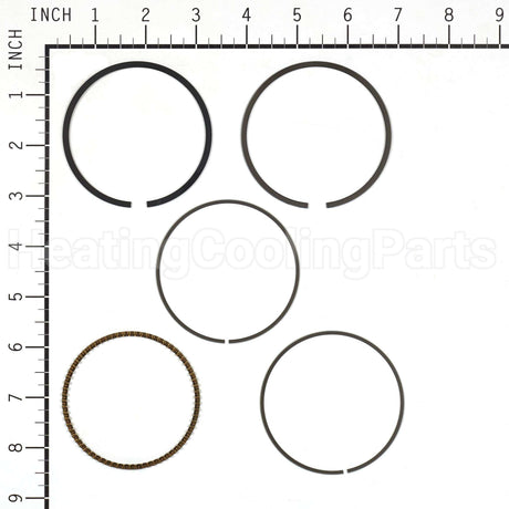 843793 Briggs & Stratton Ring Set