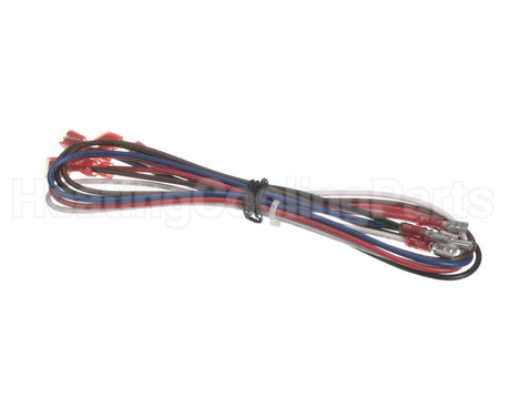 90031229 International Environmental Wiring Harness