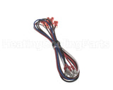 90031229 International Environmental Wiring Harness