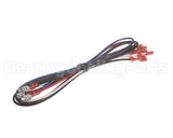 90031229 International Environmental Wiring Harness