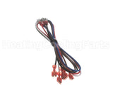 90031229 International Environmental Wiring Harness