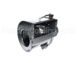 90048028 International Environmental Motor Assembly