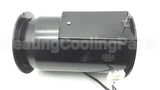 903404 Nordyne M1 Combustionblowerassembly