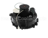 904085 Nordyne 115V 1/20Hp 3300Rpm Inducer