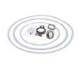 950388F Raypak Seal Kit W/Gaskets