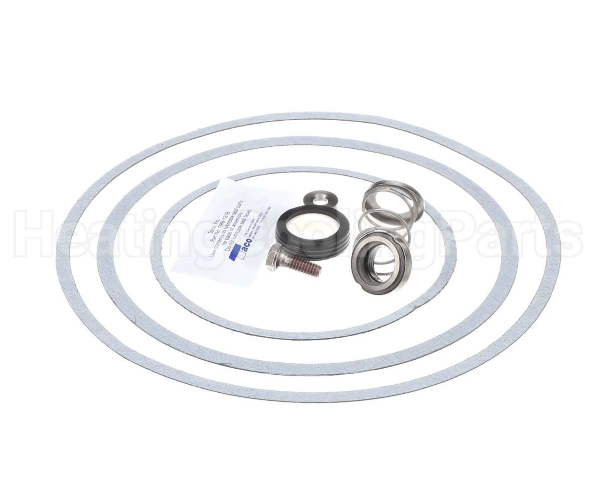950388F Raypak Seal Kit W/Gaskets