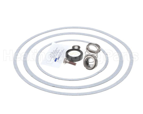 950388F Raypak Seal Kit W/Gaskets