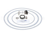 950388F Raypak Seal Kit W/Gaskets