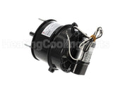 9F0302120000 Modine 115V 1/8Hp 1440Rpm Motor