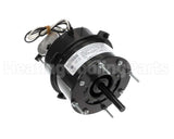 9F0302120000 Modine 115V 1/8Hp 1440Rpm Motor