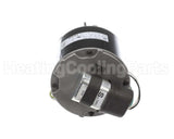 9F0302260000 Modine 115V 1600Rpm 1/12Hp Motor