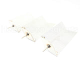 A10077 Armstrong International Electrode