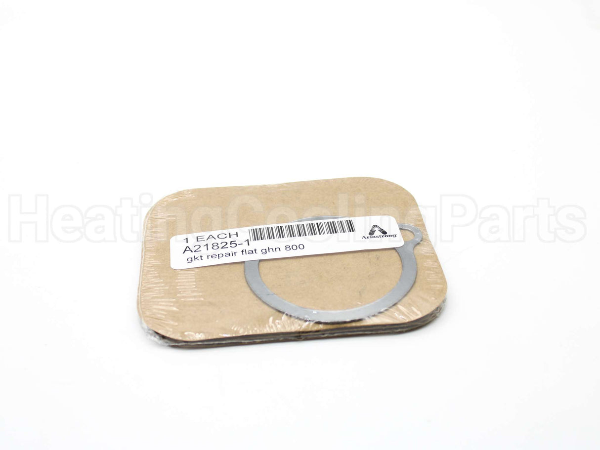 A21825-1 Armstrong International Gasket F/800,880,811,881 Trap