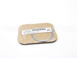 A21825-1 Armstrong International Gasket F/800,880,811,881 Trap