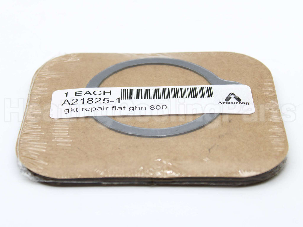 A21825-1 Armstrong International Gasket F/800,880,811,881 Trap