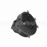 A281 Fasco Motor