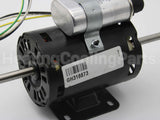 A30-313 Ranco Control, Temperature