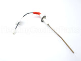 AP17872 Rheem-Ruud Flame Sensor Rod