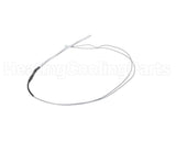 AP17940-1 Rheem-Ruud Condensate Water Sensor