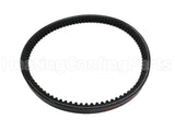 AX19 Gates 21"Od 1/2"W V-Belt