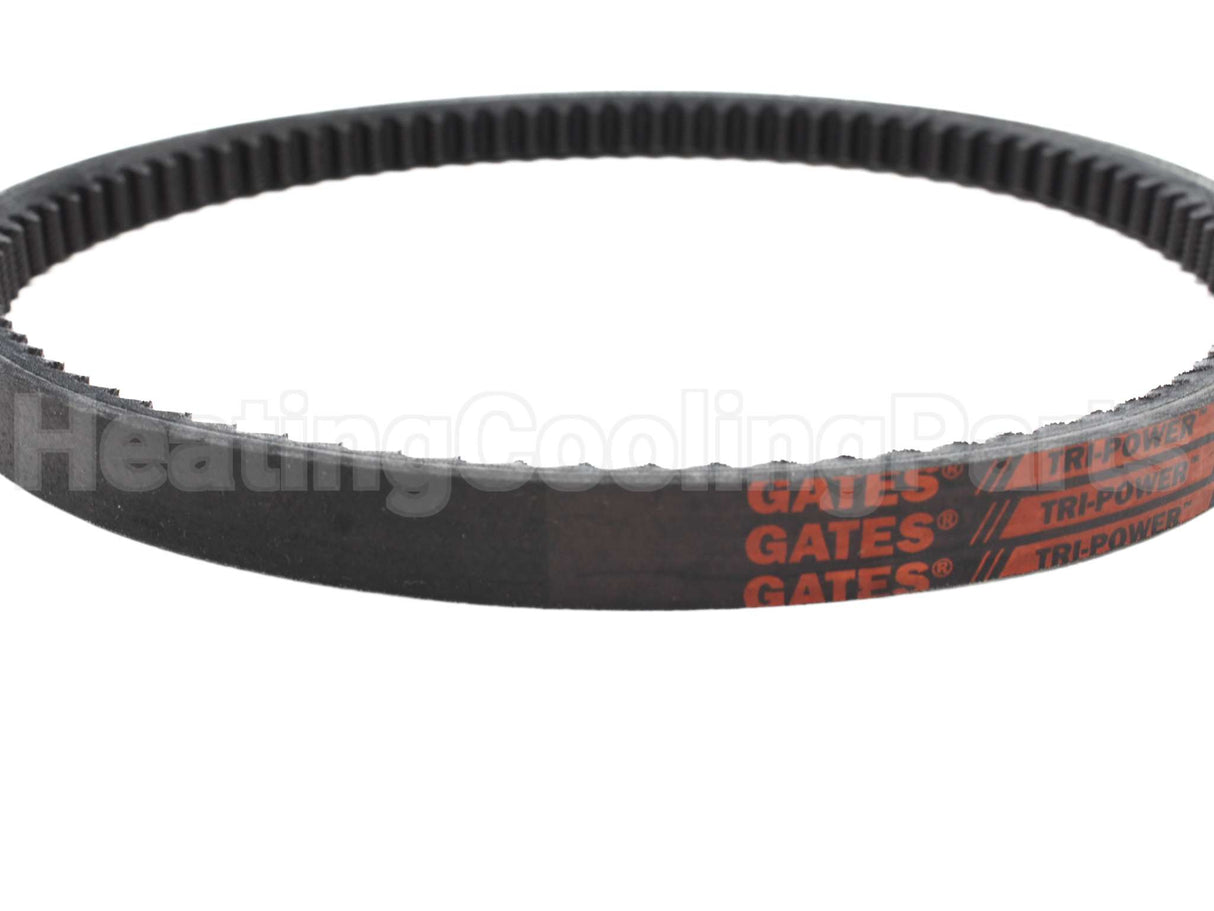 AX19 Gates 21"Od 1/2"W V-Belt