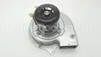 B1859005S Amana-Goodman Ventor Motor Assy Gmp Series