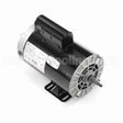 B238V1 Century Pool And Spa Pump Motor