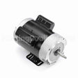 B765 Century Jet Pump Motor