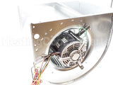 BLW0628 Trane Complete Blower Assmebly