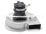 BLW1371 Trane 208-230V 3075Rpm Inducer
