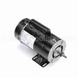 BN61 Century Pool And Spa Pump Motor