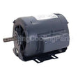 C033 Regal Rexnord - Century Motors 1/6Hp 115V 800Rpm 1Spd 56 Mtr