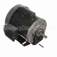 C289 Marathon Motor