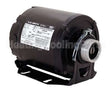 CB2054AD Regal Rexnord - Century Motors 1/2Hp 1725 115/230 V Rev