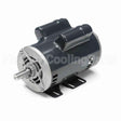 CG381 Marathon Motor