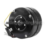 D242 Pems Direct Drive Blower Motor