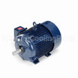 E481A Marathon Motor