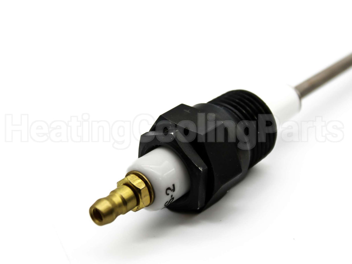 E5-FRS-2-6 Auburn 6" Flame Rod 1/2"Npt Mtg