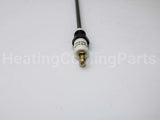 E5-FRS-4-12 Auburn 12" Flame Rod - 1/4" Npt