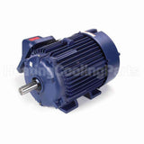E564 Marathon Motor