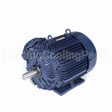 E571 Marathon Motor