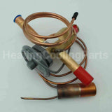 EA36UZ030 Carrier Txv Valve