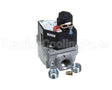 EF33CW245 Carrier 3/4"X3/4" Nat. Gas, 250,000Btu