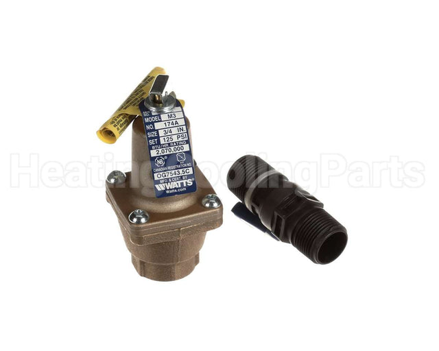 F274751 Watts 3/4 174A 125 Fs