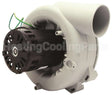 FB-RFB181 Rotom Motors