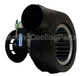 FB-RFB401 Rotom Motors