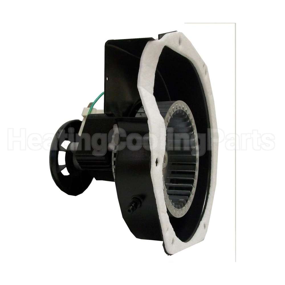 FB-RFB405 Rotom Oem Replacement Motor