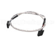 G029440 Aaon Cabel Ebus Assembly 1.5Ft
