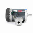 G667 Marathon Motor